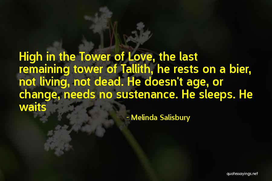Lexical Approach Quotes By Melinda Salisbury Lexical Approach Quotes By Melinda Salisbury