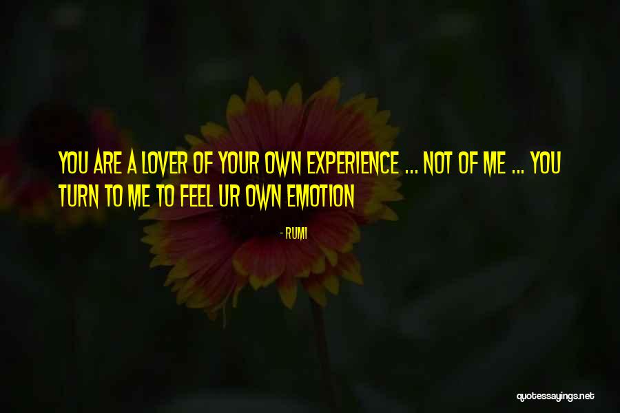 Lexicographer William Quotes By Rumi Lexicographer William Quotes By Rumi