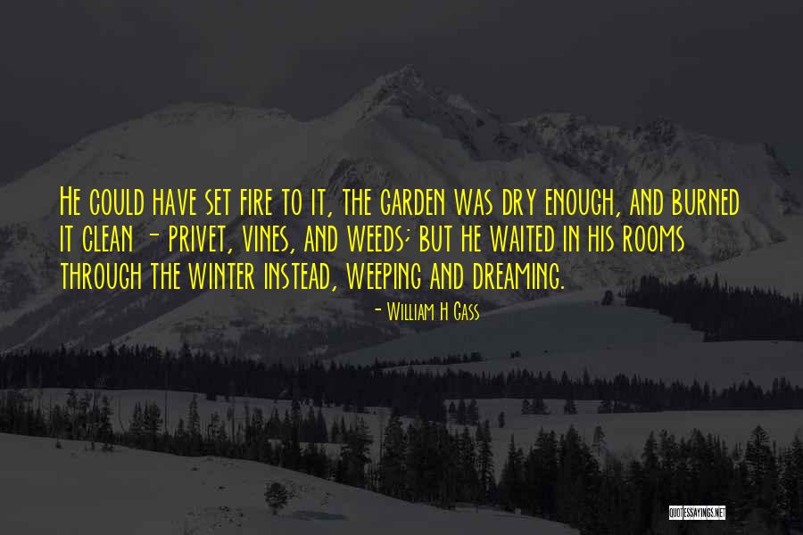 Lexpert Big Quotes By William H Gass Lexpert Big Quotes By William H Gass