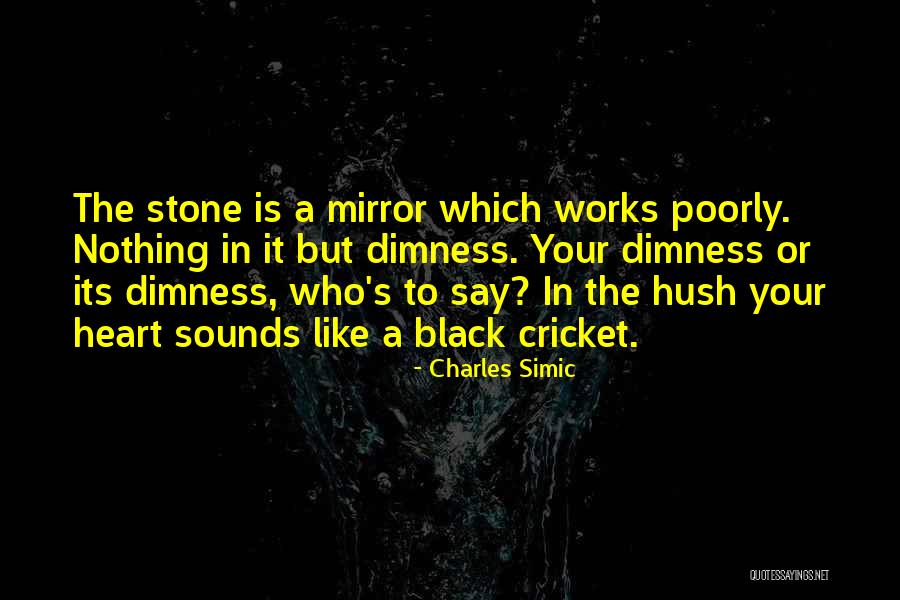 Leydon Stove Quotes By Charles Simic Leydon Stove Quotes By Charles Simic
