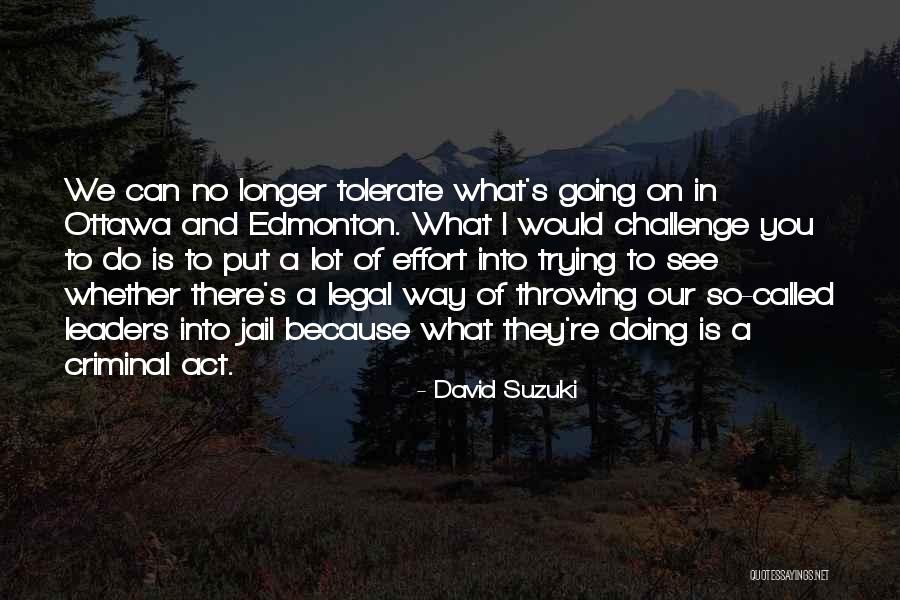 Lezlie Mogell Quotes By David Suzuki Lezlie Mogell Quotes By David Suzuki