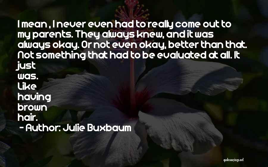 Lgbt It Gets Better Quotes By Julie Buxbaum