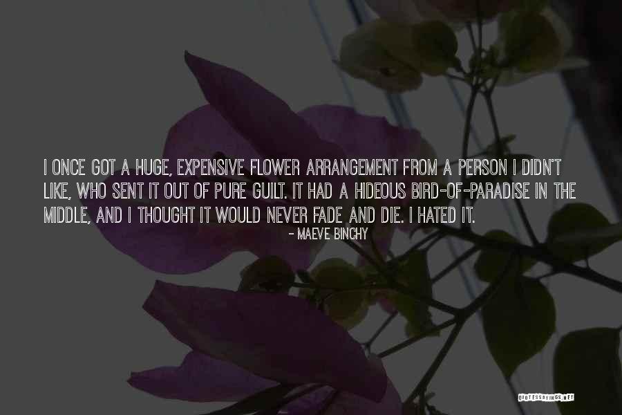 Lgred Quotes By Maeve Binchy Lgred Quotes By Maeve Binchy