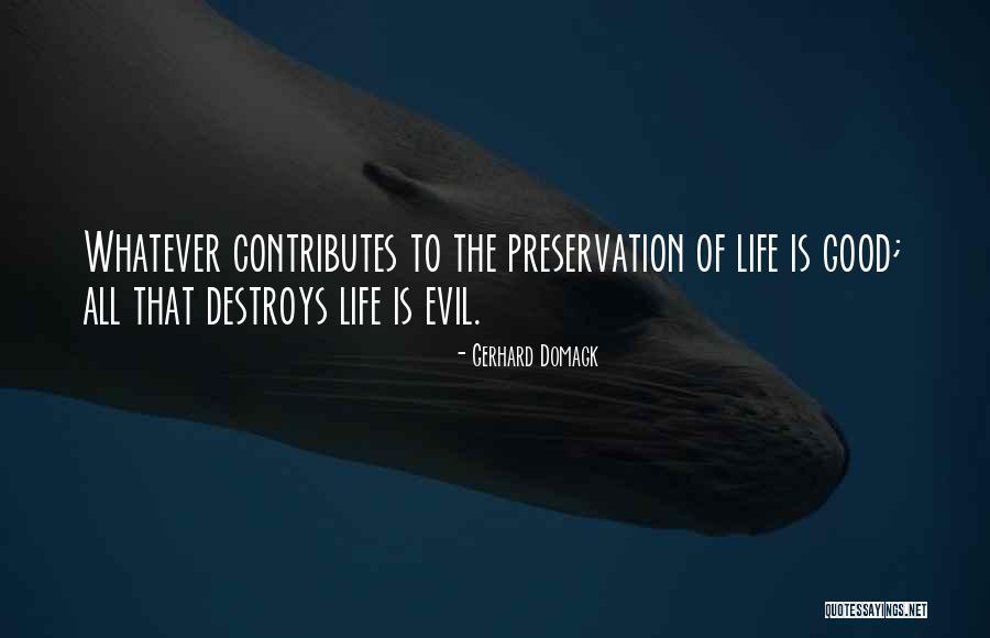 Lgumc Quotes By Gerhard Domagk Lgumc Quotes By Gerhard Domagk