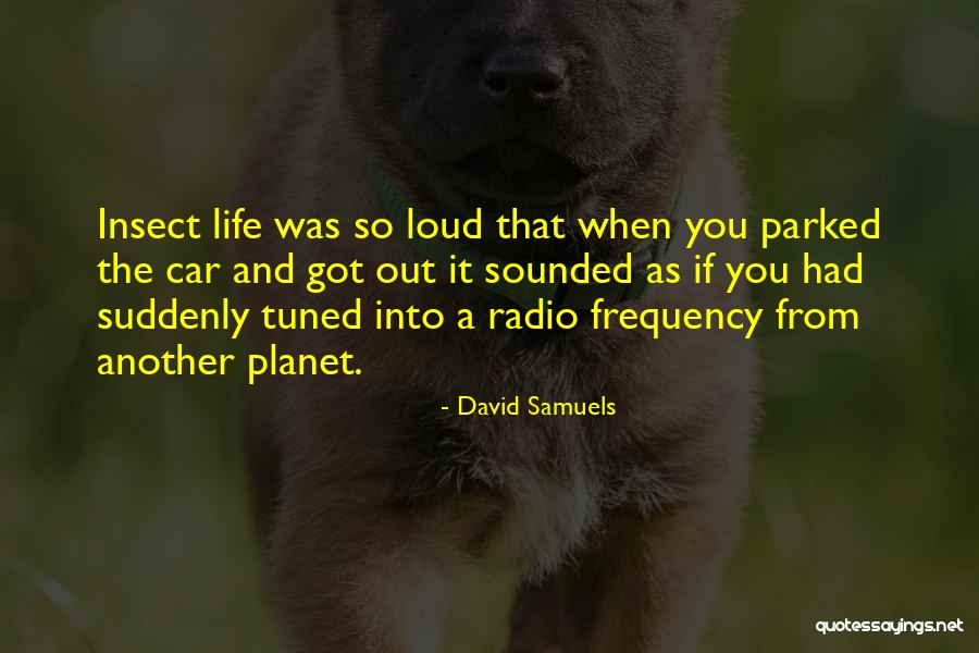 Lhhatl Funny Quotes By David Samuels Lhhatl Funny Quotes By David Samuels