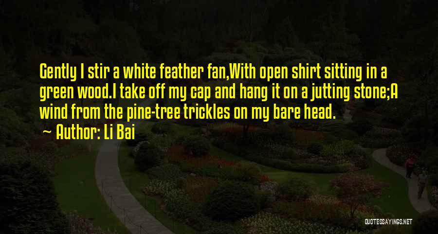 Li Bai Quotes 1073520