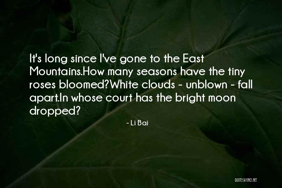 Li Bai Quotes 717157