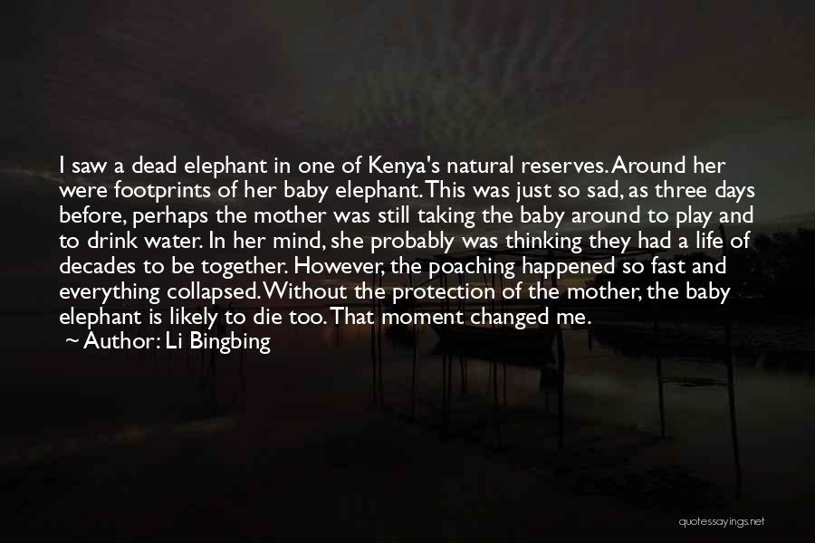 Li Bingbing Quotes 2185952