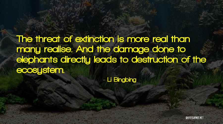 Li Bingbing Quotes 254873 Li Bingbing Quotes 254873