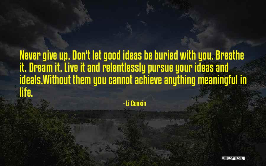 Li Cunxin Quotes 2243895