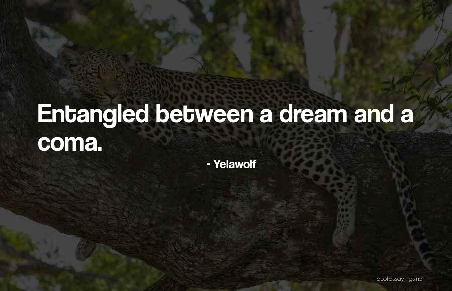 Liadia Designs Quotes By Yelawolf Liadia Designs Quotes By Yelawolf