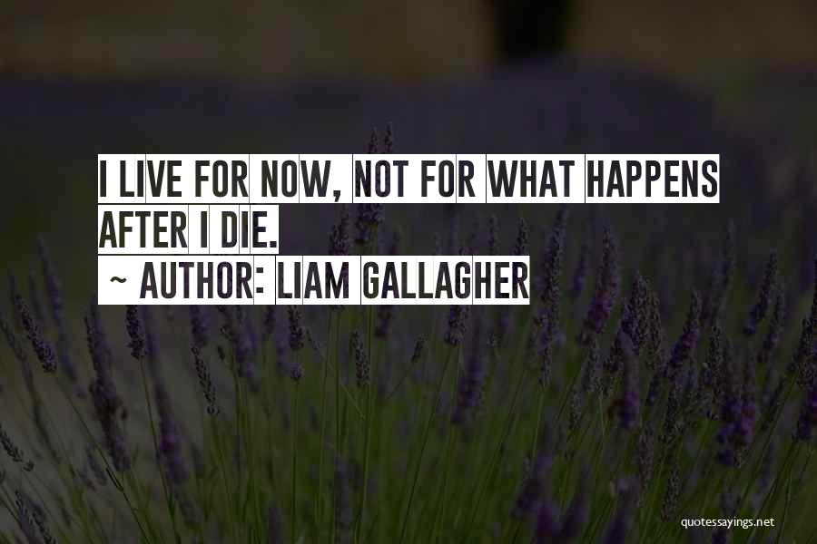 Liam Gallagher Quotes 1463418
