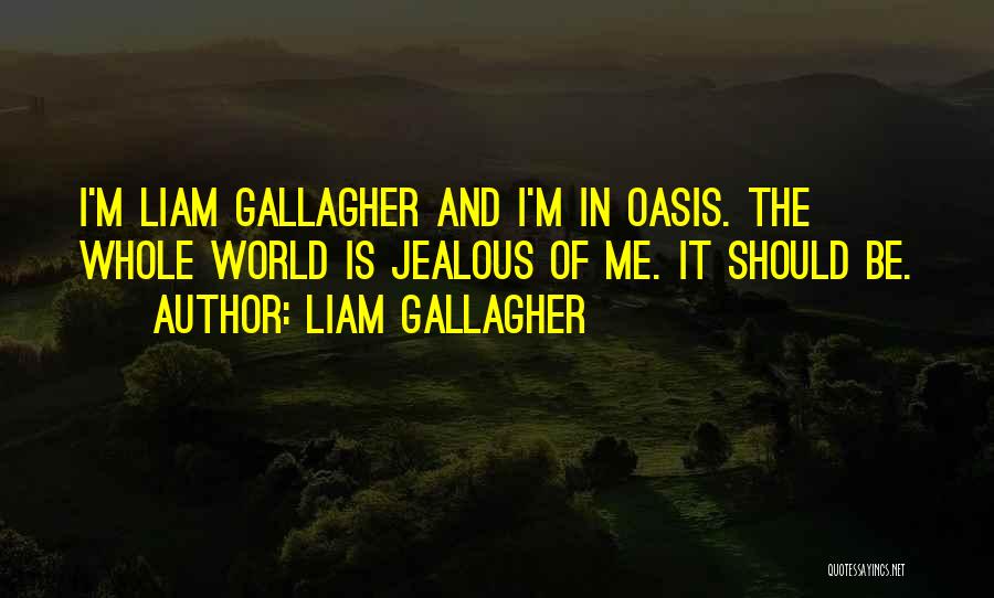 Liam Gallagher Quotes 1483187