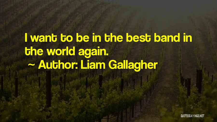 Liam Gallagher Quotes 2122227