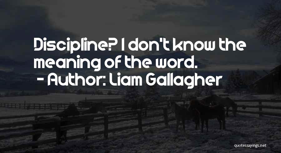 Liam Gallagher Quotes 2210526