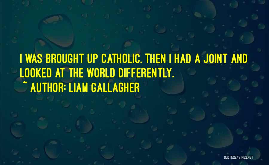 Liam Gallagher Quotes 252521