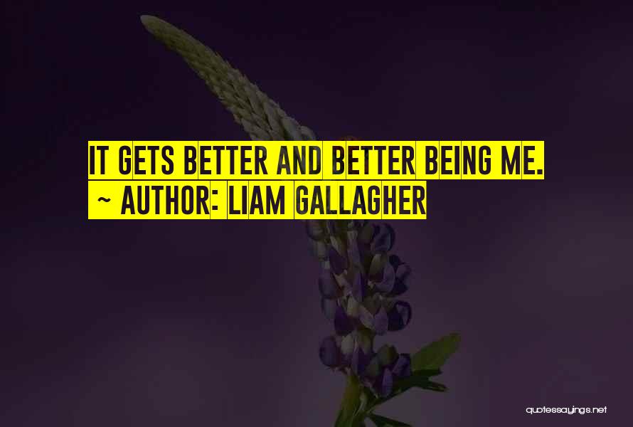 Liam Gallagher Quotes 455711