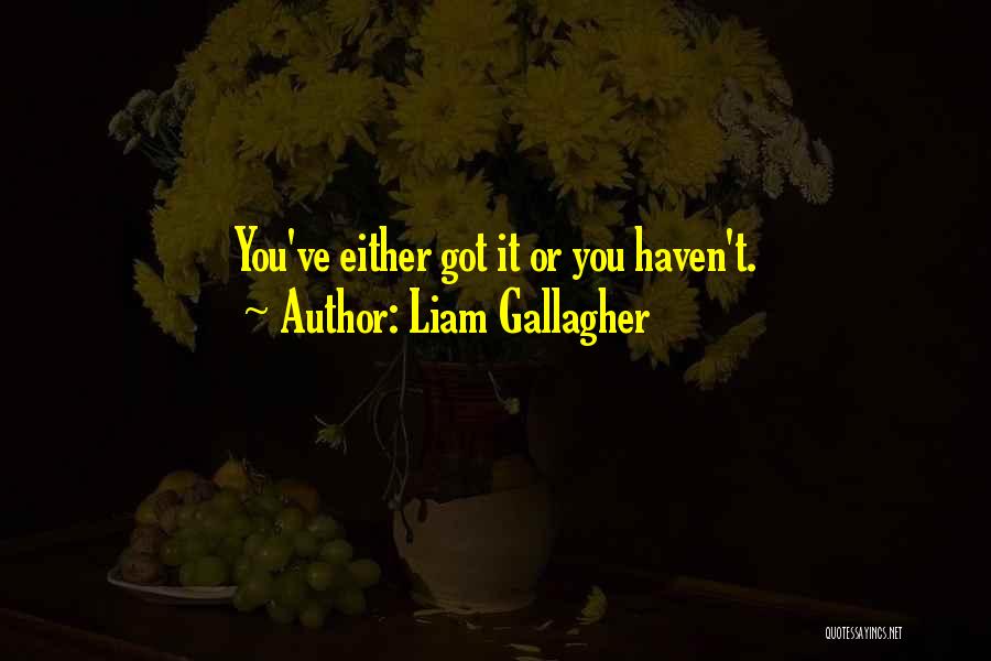 Liam Gallagher Quotes 467301