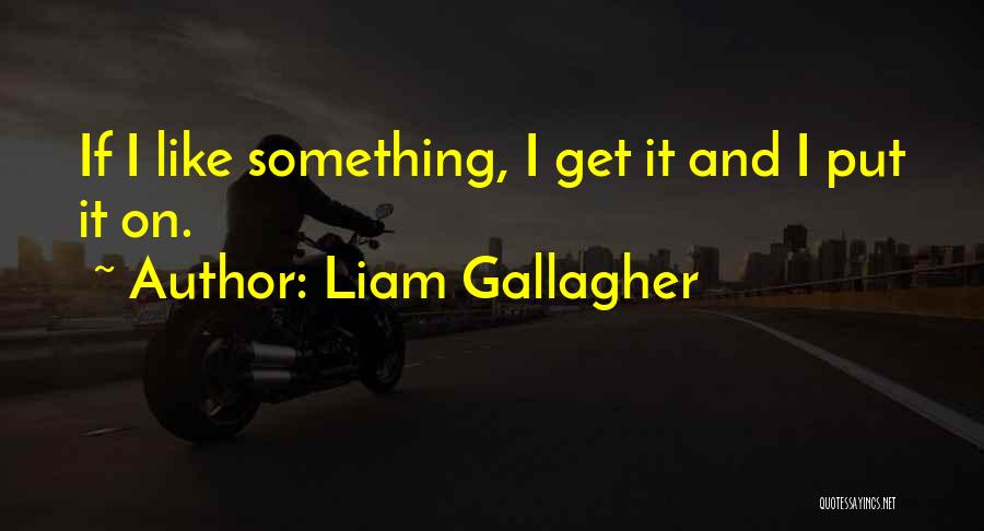 Liam Gallagher Quotes 701315