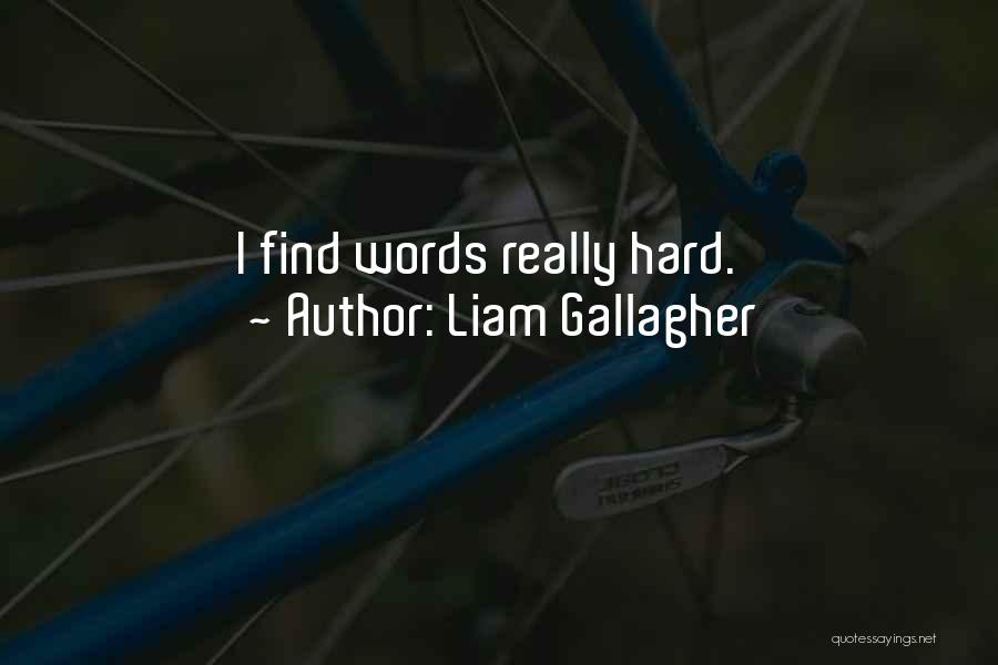 Liam Gallagher Quotes 759898