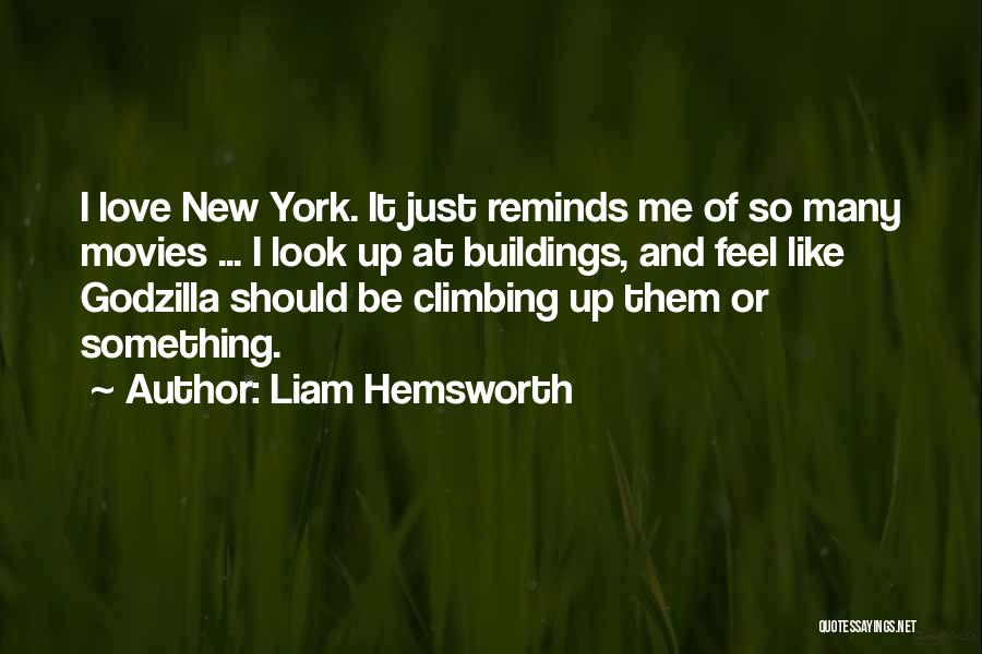 Liam Hemsworth Quotes 1308408