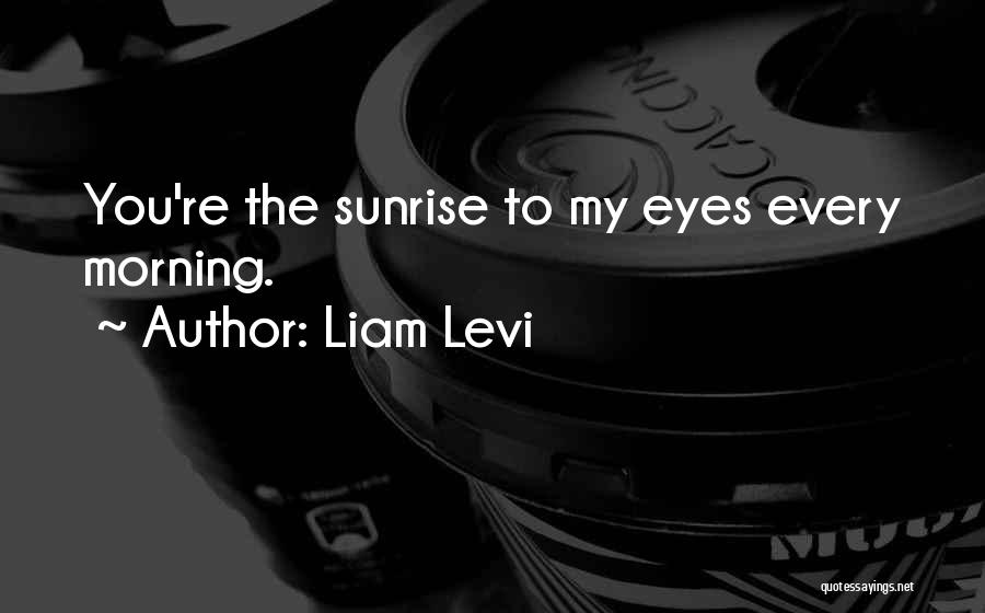 Liam Levi Quotes 631431