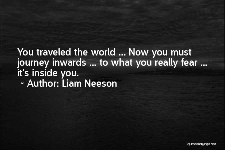 Liam Neeson Quotes 1082766