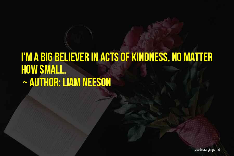 Liam Neeson Quotes 1088443