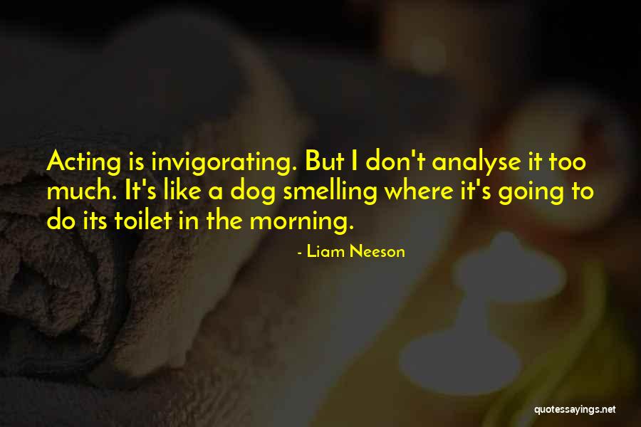 Liam Neeson Quotes 133967