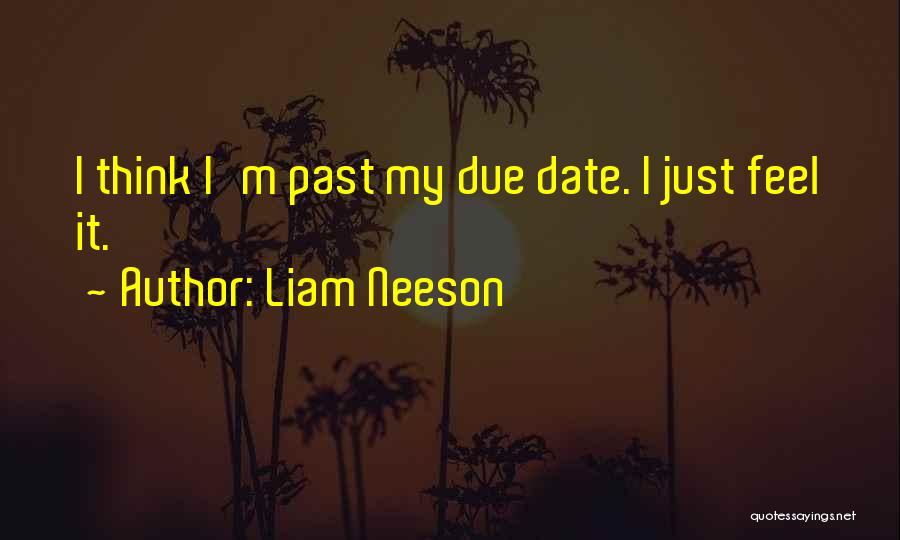Liam Neeson Quotes 1547247