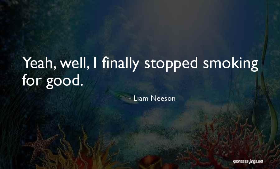 Liam Neeson Quotes 638182