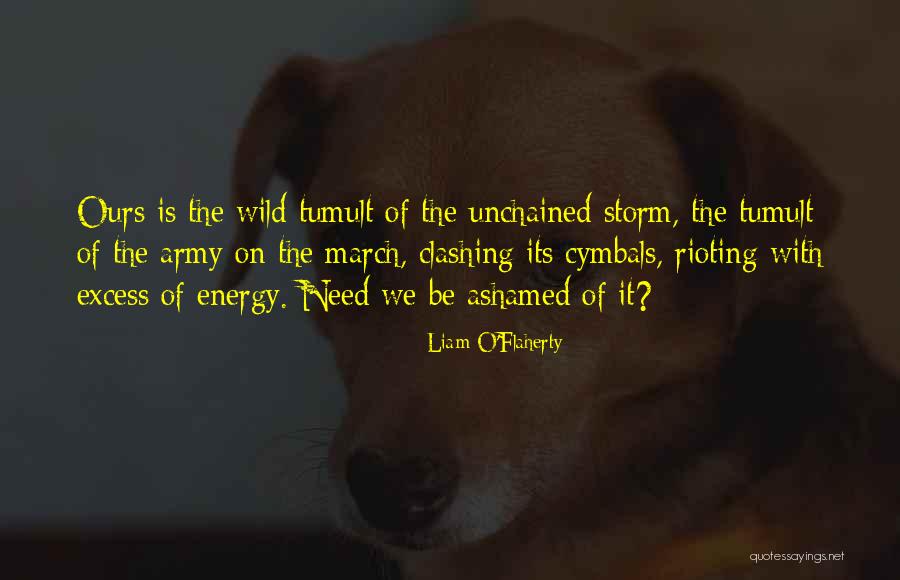 Liam O'Flaherty Quotes 1165049