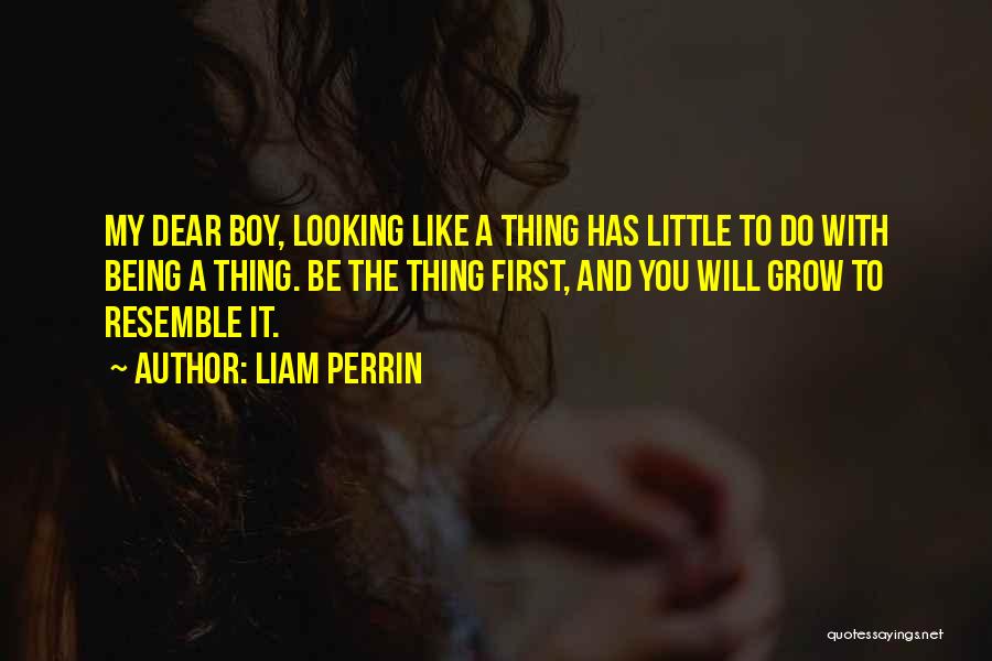 Liam Perrin Quotes 862155