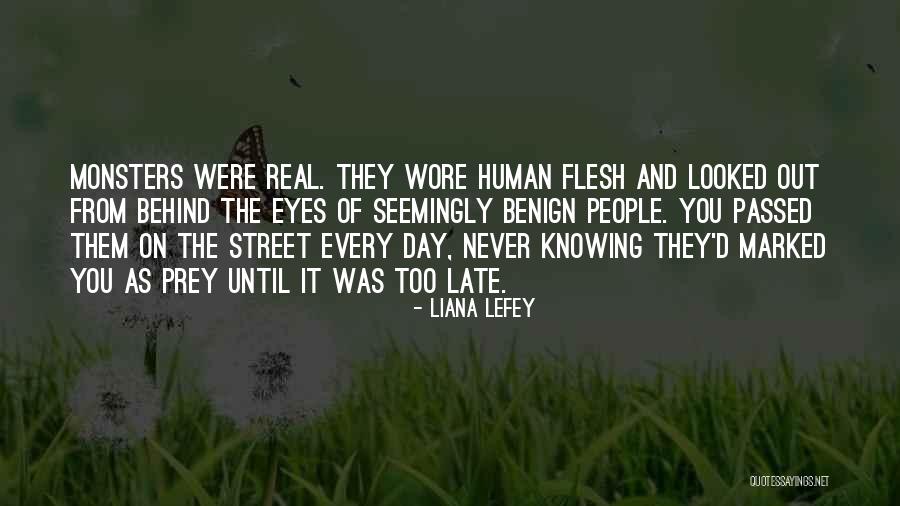 Liana LeFey Quotes 1499544