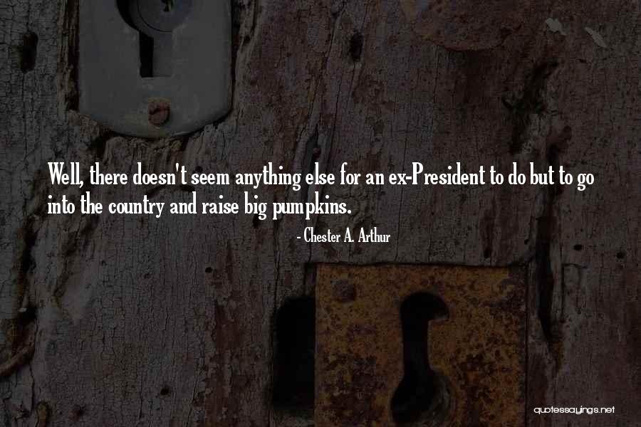 Liancarlo Jumpsuit Quotes By Chester A. Arthur Liancarlo Jumpsuit Quotes By Chester A. Arthur