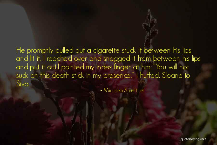 Liars Lying To Break Up Families Quotes By Micalea Smeltzer Liars Lying To Break Up Families Quotes By Micalea Smeltzer