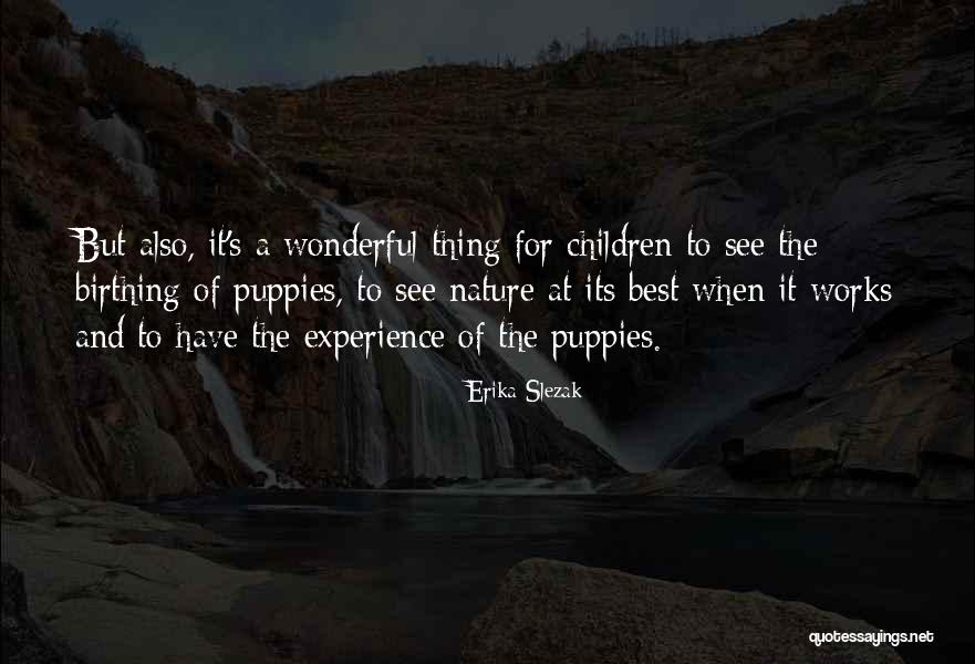 Liasse De Billets Quotes By Erika Slezak Liasse De Billets Quotes By Erika Slezak