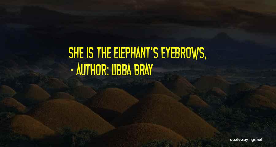 Libba Bray Quotes 1030370