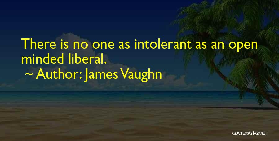 Liberal Politics Quotes By James Vaughn