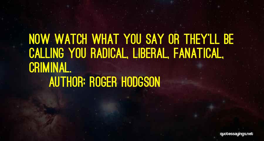 Liberal Politics Quotes By Roger Hodgson