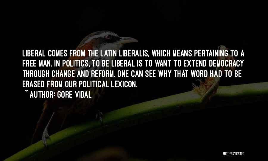 Liberal Reform Quotes By Gore Vidal