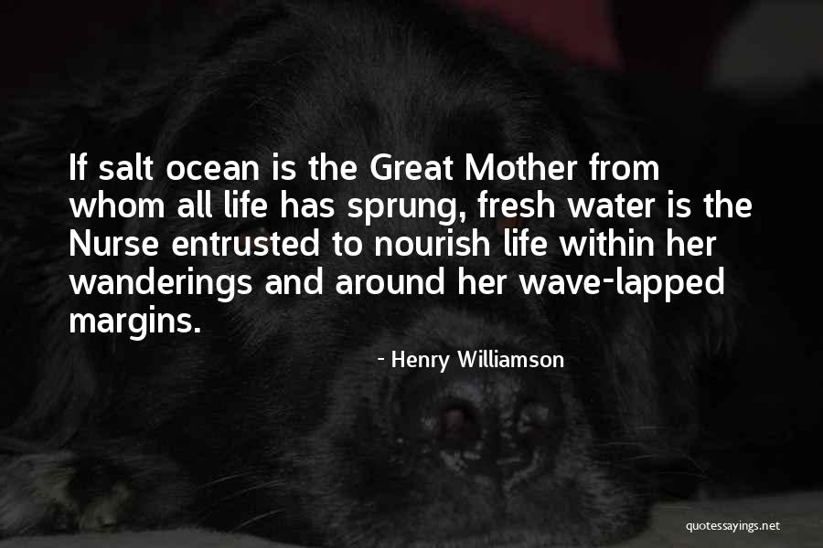 Liberani Quotes By Henry Williamson Liberani Quotes By Henry Williamson