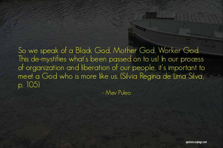 Liberation Theology Quotes By Mev Puleo