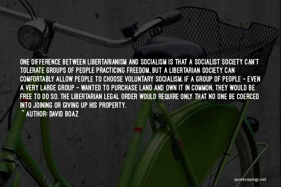 Libertarian Socialism Quotes By David Boaz