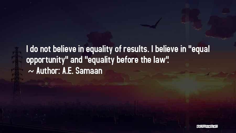 Liberty And Equality Quotes By A.E. Samaan