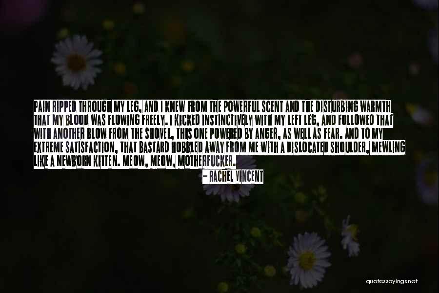 Liberty Tool Quotes By Rachel Vincent Liberty Tool Quotes By Rachel Vincent
