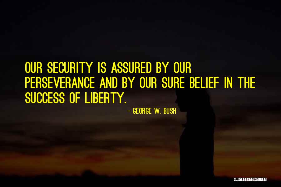 Liberty Vs Security Quotes By George W. Bush