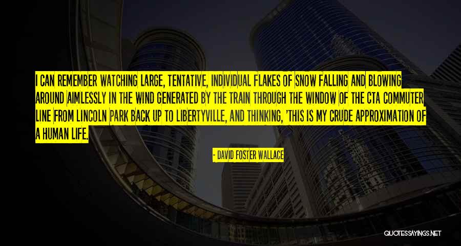 Libertyville Quotes By David Foster Wallace Libertyville Quotes By David Foster Wallace
