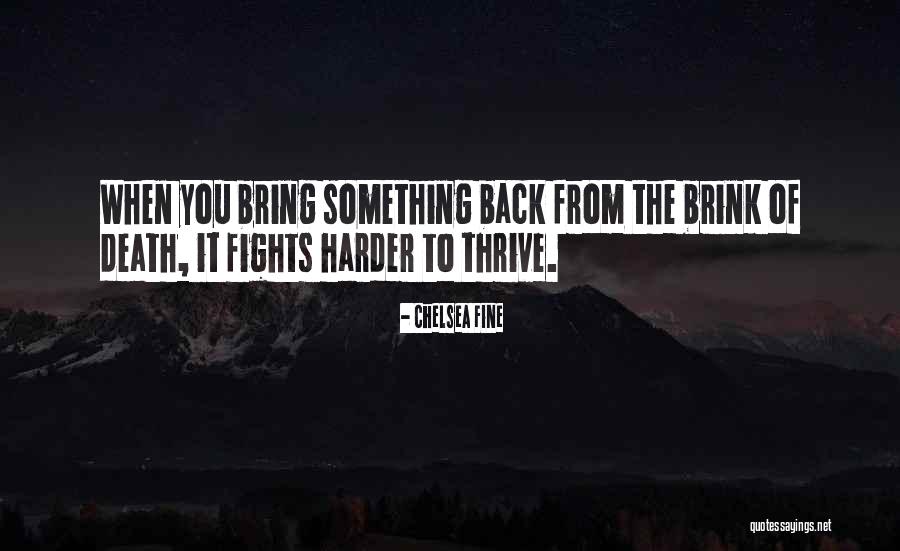 Librado Restaurant Quotes By Chelsea Fine Librado Restaurant Quotes By Chelsea Fine