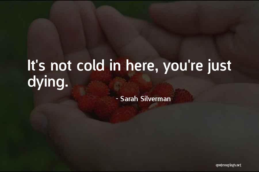 Librettist Vs Lyricist Quotes By Sarah Silverman Librettist Vs Lyricist Quotes By Sarah Silverman
